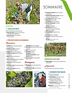 Hors-série Protection du vignoble 2023